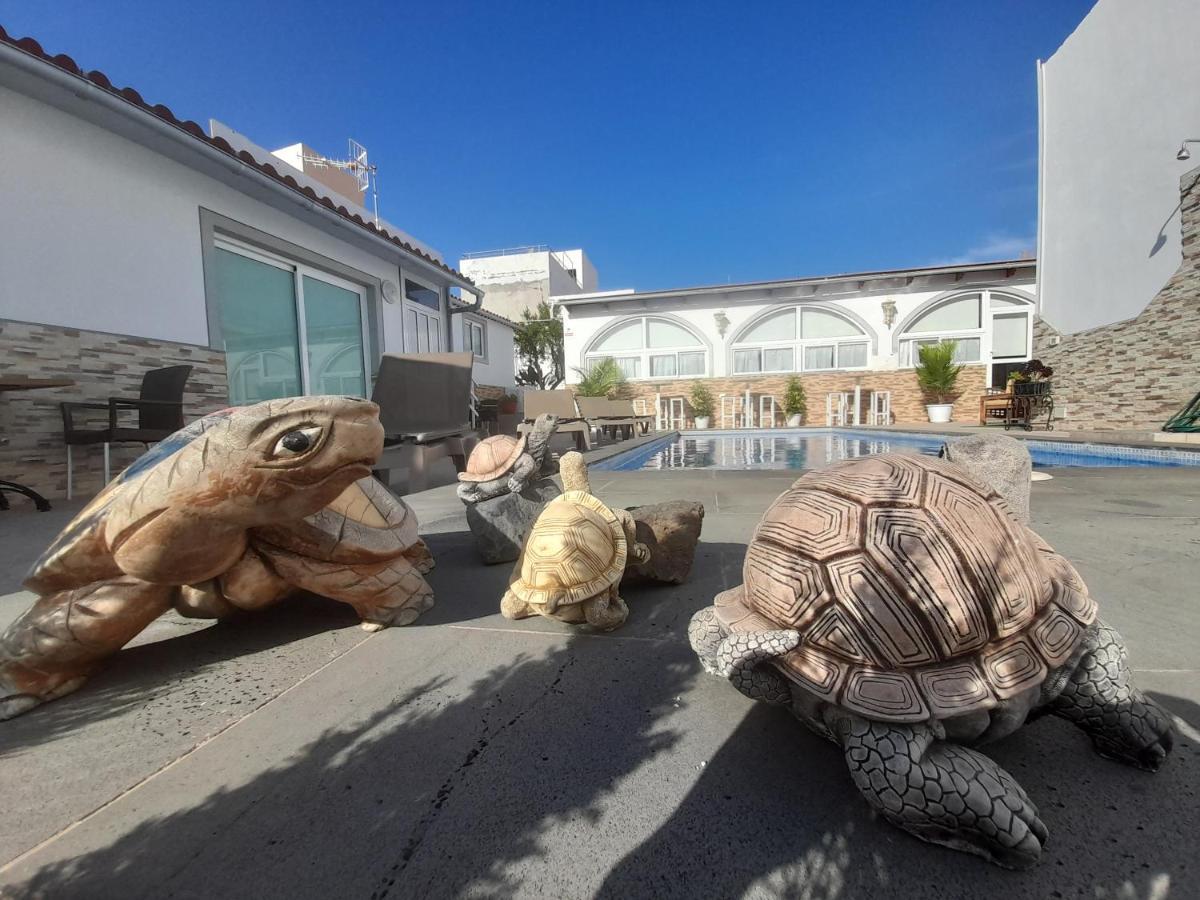 Tenerife Little Village S San Isidro  Exterior foto
